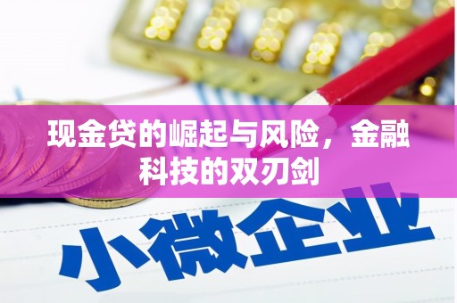 大邑现金贷的崛起与风险，金融科技的双刃剑