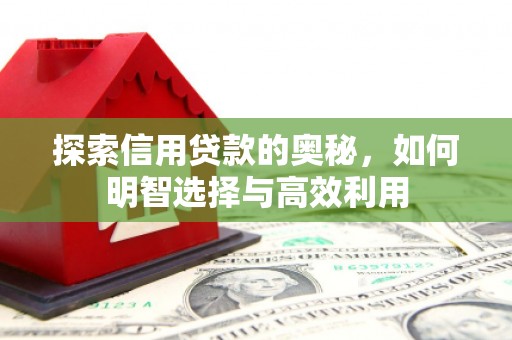 复兴探索信用贷款的奥秘，如何明智选择与高效利用