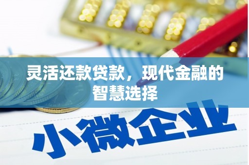 连州灵活还款贷款，现代金融的智慧选择