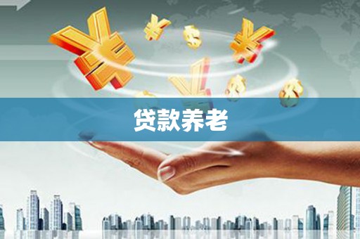南涧贷款养老