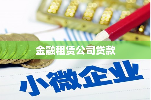 阜康金融租赁公司贷款