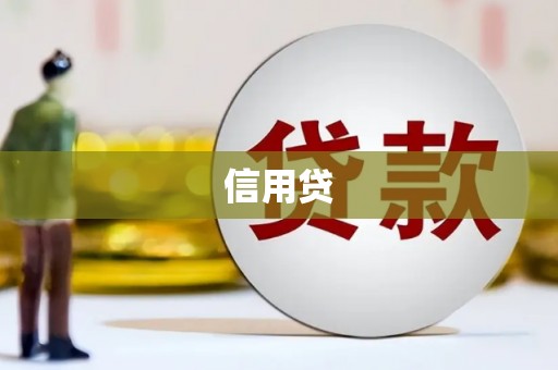 西畴信用贷