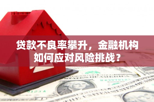 红塔贷款不良率攀升，金融机构如何应对风险挑战？