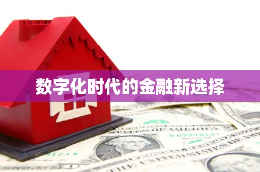 沙洋数字化时代的金融新选择