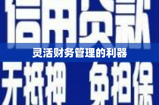 四湖灵活财务管理的利器