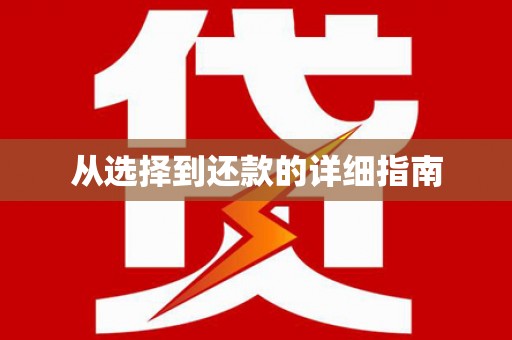 任城从选择到还款的详细指南