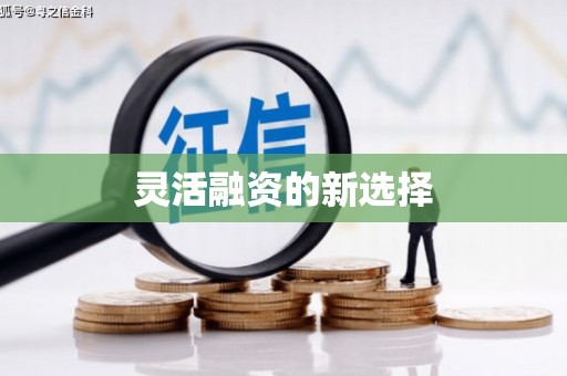 太和灵活融资的新选择