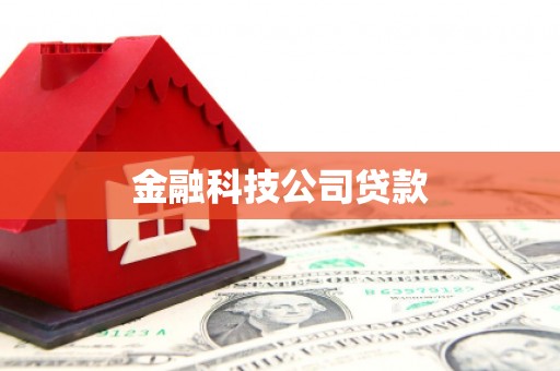 茂县金融科技公司贷款