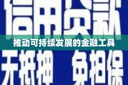 师宗推动可持续发展的金融工具