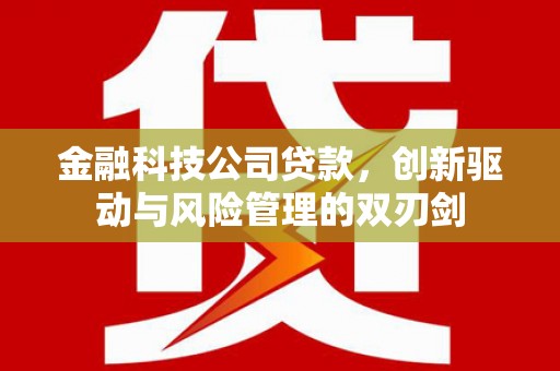 集贤金融科技公司贷款，创新驱动与风险管理的双刃剑
